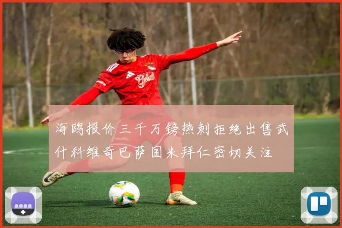 海鸥报价三千万镑热刺拒绝出售武什科维奇巴萨国米拜仁密切关注
